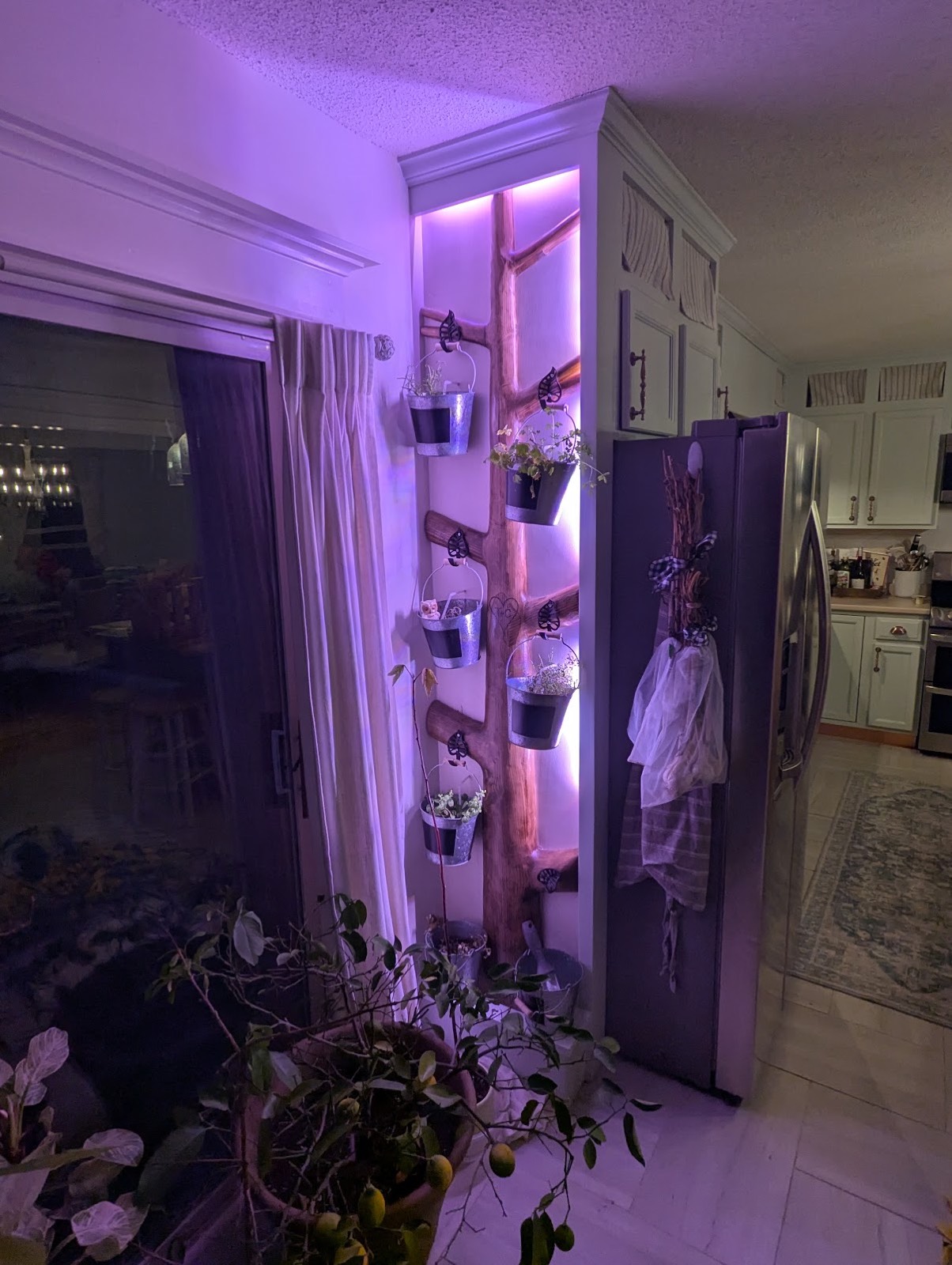 Live-edge plant ladder with LED lighting